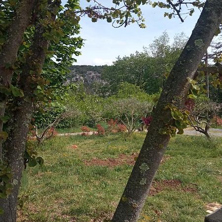 Les Cypres Lagorce (Ardeche) Exterior foto