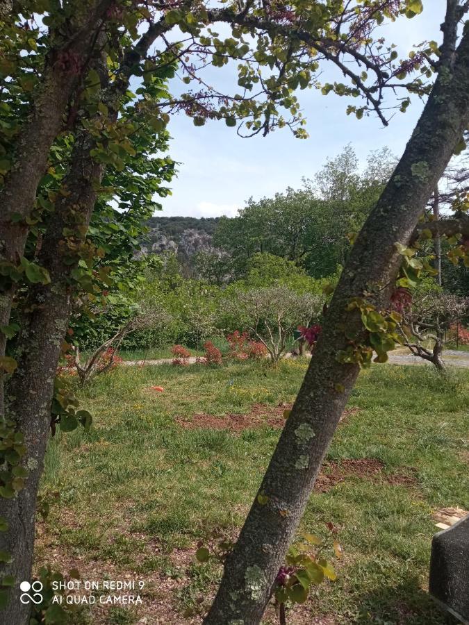 Les Cypres Lagorce (Ardeche) Exterior foto
